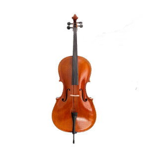 YUNZHI HANDMADE CLASS C CELLO Beginner practice cello