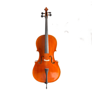 YUNZHI HANDMADE CLASS S CELLO Master solo cello