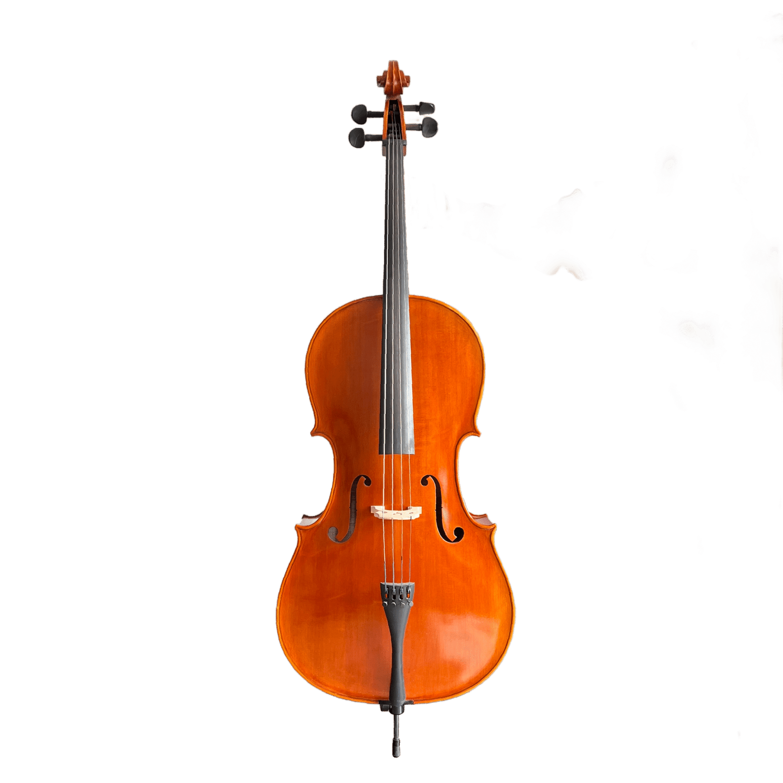 YUNZHI HANDMADE CLASS S CELLO Master solo cello