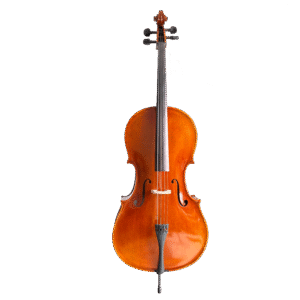 YUNZHI HANDMADE CLASS B CELLO Advanced professional cello